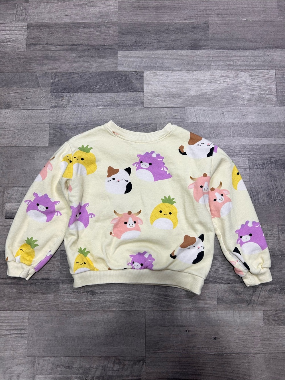 Girls Hoodie and Sweatshirt Bundle 6X/7 - Picture 7 of 8